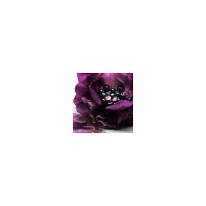 La Nuit Trésor - Das Parfum